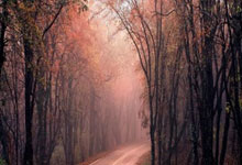 卡拉格：福登在英格兰队没那么自信，这在某种程度上限制了他.