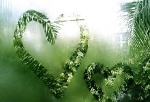 KAIYUN：中超｜不气馁，没放弃！独中两元，泽卡成泰山绝杀梅州的最大功臣.