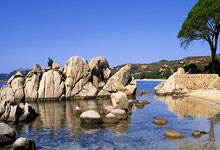 KAIYUN：奥利塞在法国队直接任意球破门，是博格巴之后首位做到这点球员.